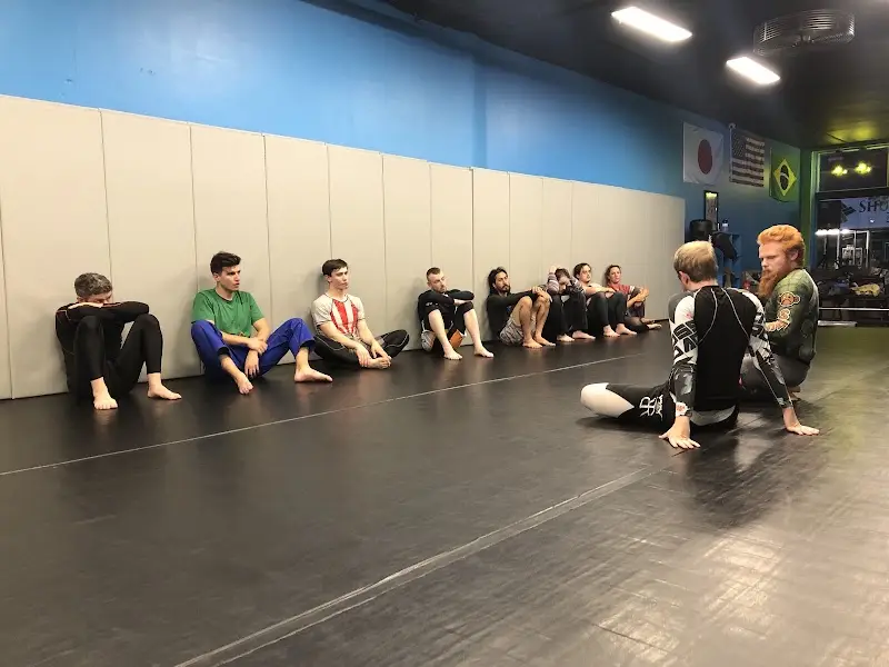 Flow Jiu-Jitsu BJJ Academy - photo 2