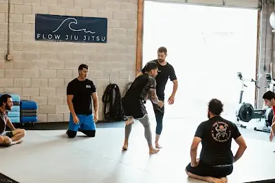 Flow Jiu Jitsu BJJ Academy - photo 1