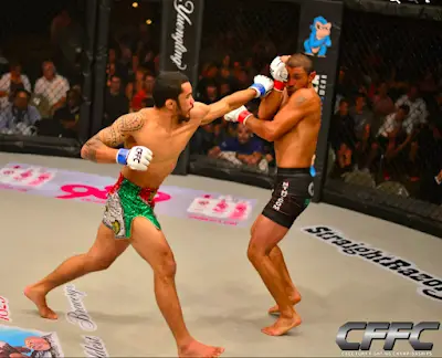 Flow MMA BJJ Academy - photo 2