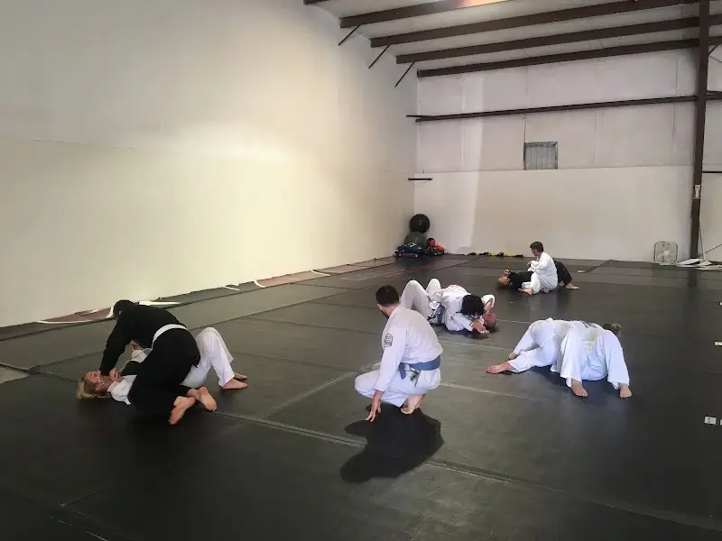 Flow Theory Grappling BJJ Academy - photo 1