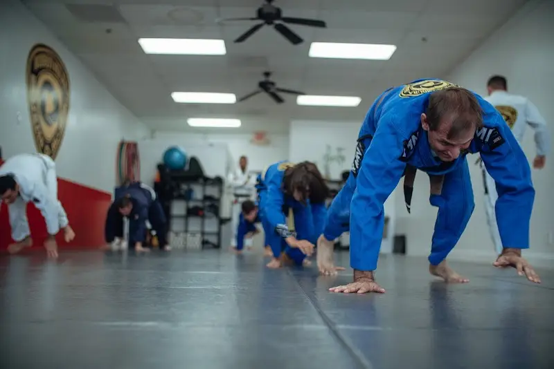 FlowHouse Brazilian Jiu Jitsu BJJ Academy - photo 1