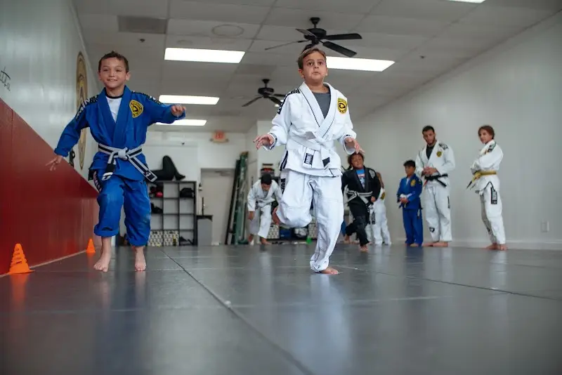 FlowHouse Brazilian Jiu Jitsu BJJ Academy - photo 2