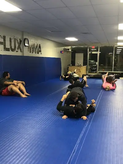 Flux MMA BJJ Academy - photo 1