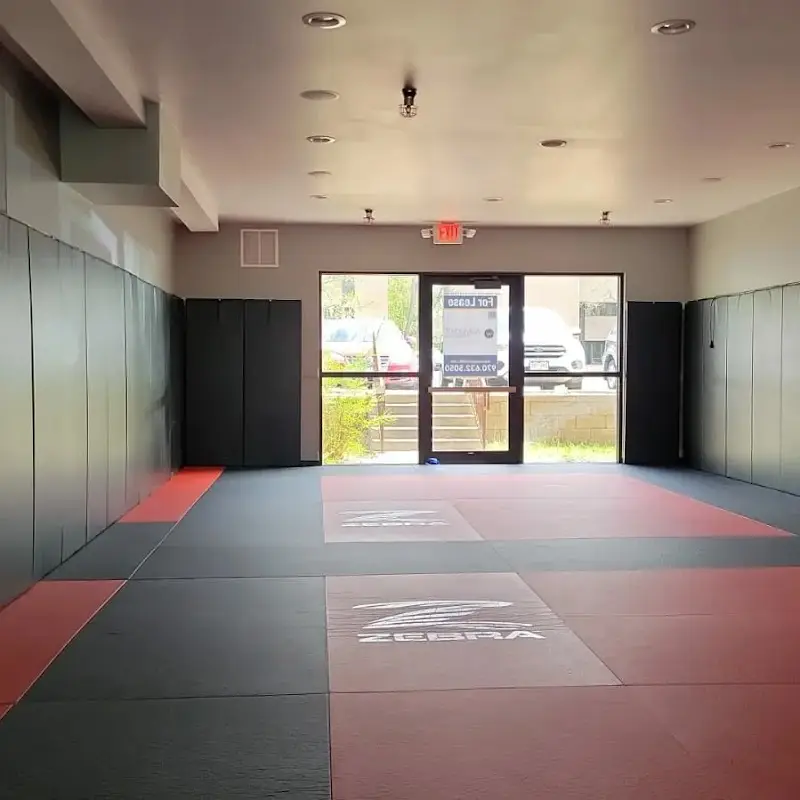 FoCo BJJ BJJ Academy - photo 1