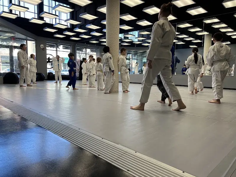 Fonseca Martial Arts - Glenview BJJ Academy - photo 1