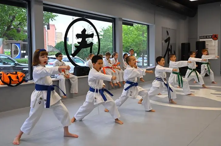 Fonseca Martial Arts - Park Ridge BJJ Academy - photo 1
