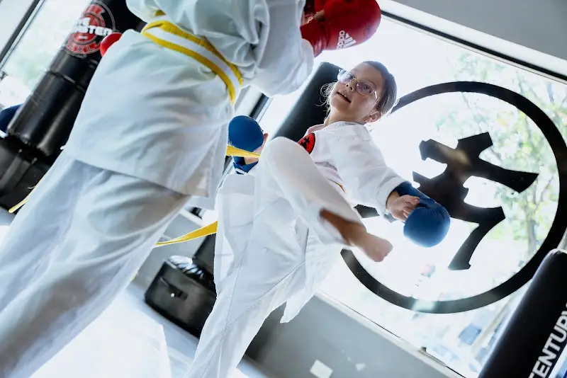 Fonseca Martial Arts - Park Ridge BJJ Academy - photo 2