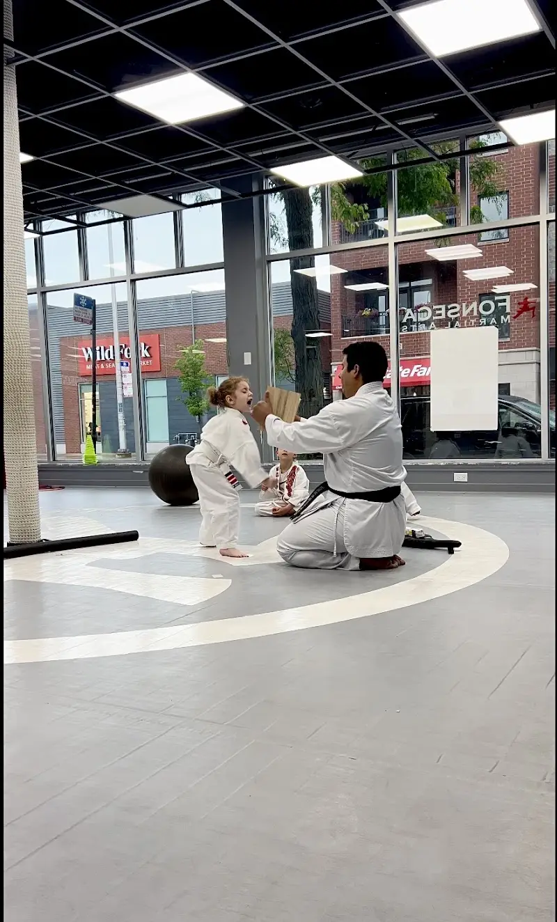 Fonseca Martial Arts - Roscoe Village BJJ Academy - photo 1