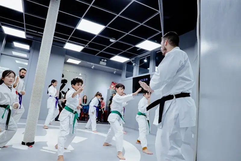 Fonseca Martial Arts - Roscoe Village BJJ Academy - photo 2