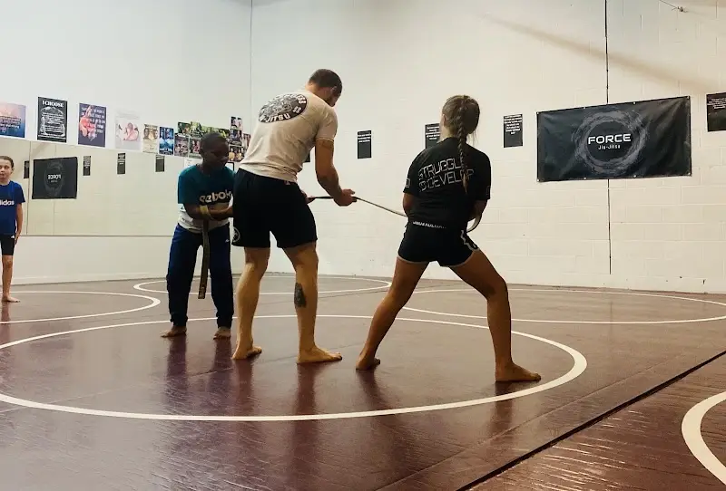 Force Jiu-Jitsu BJJ Academy - photo 1