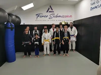 Force submission Brazilian Jiu Jitsu & MMA Academy BJJ Academy - photo 1