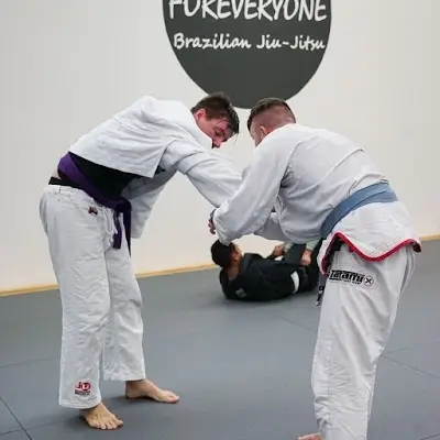 Foreveryone Brazilian Jiu-Jitsu BJJ Academy - photo 1