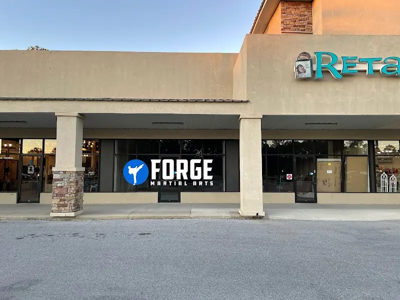 Forge Martial Arts BJJ Academy - photo 1