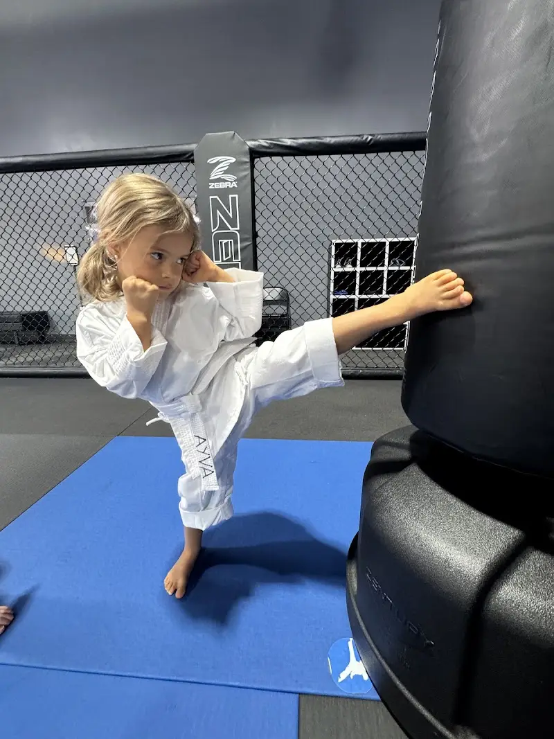 Forge Martial Arts BJJ Academy - photo 2