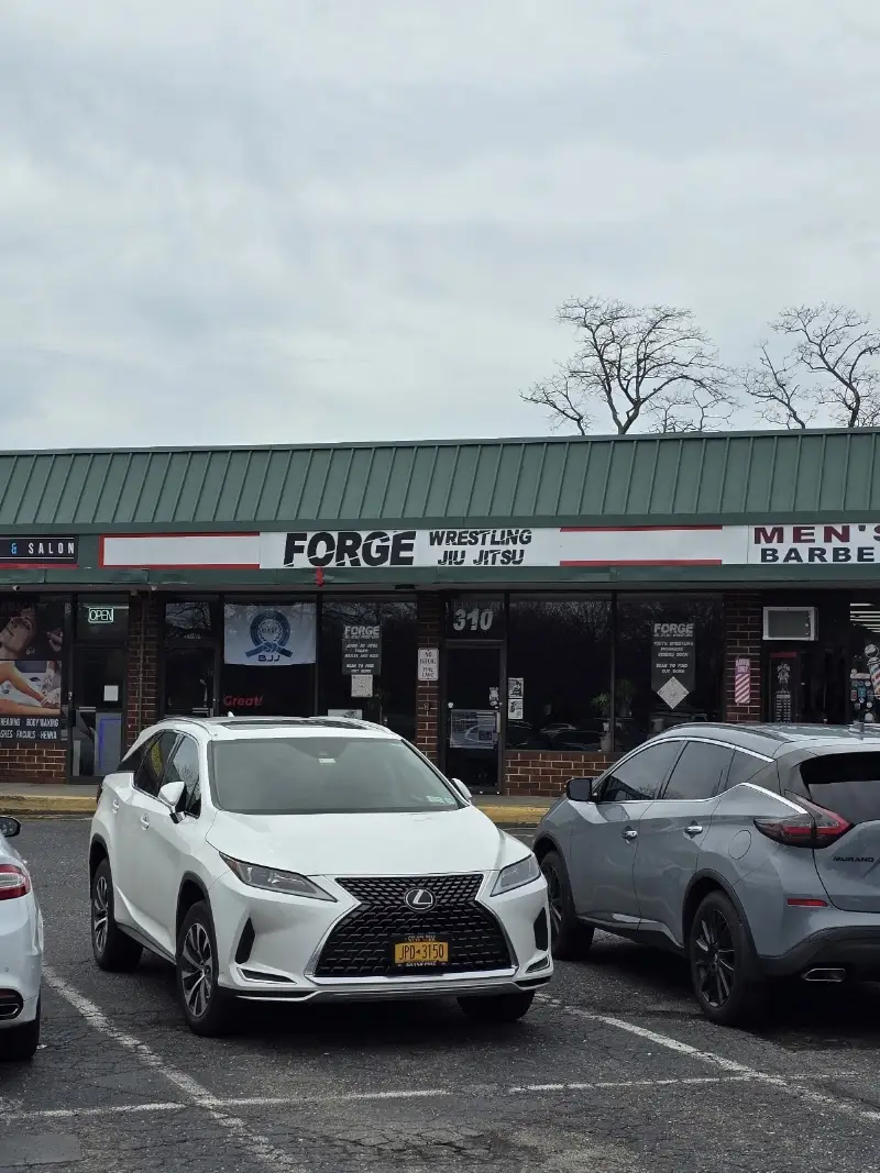 Forge Wrestling & Jiu-jitsu BJJ Academy - photo 1