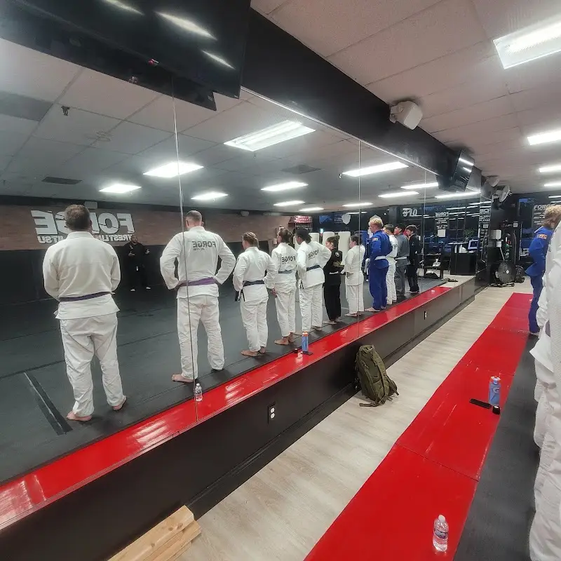 Forge Wrestling & Jiu-jitsu BJJ Academy - photo 2