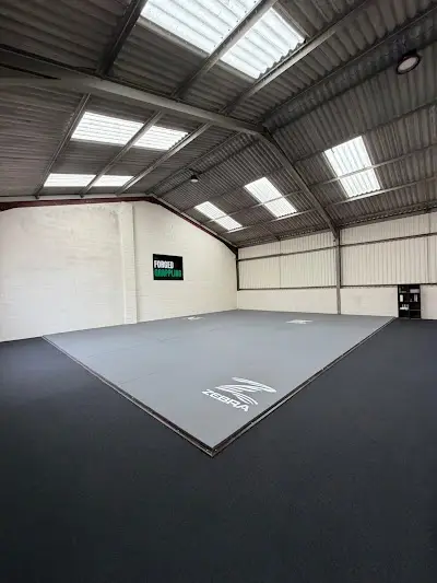 Forged Grappling BJJ Academy - photo 1