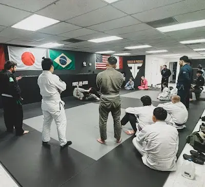 Forte Jiu Jitsu BJJ Academy - photo 2