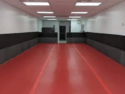 Four-Eleven Brazilian Jiu Jitsu BJJ Academy - photo 1