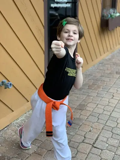 Frankenmuth Martial Arts