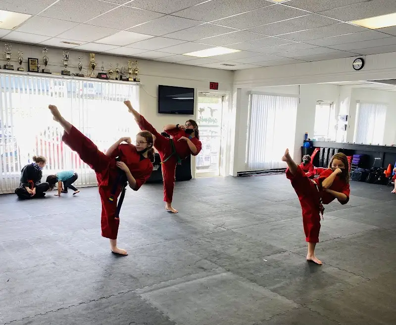 Franklin County's Best After School & Summer Camps BJJ Academy - photo 1