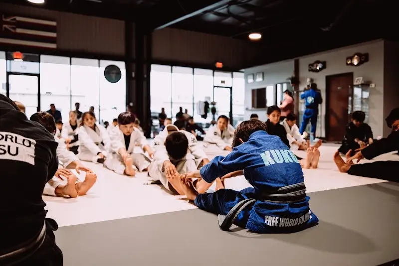 Free World Jiu Jitsu
