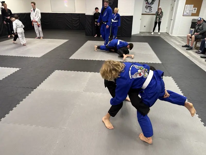 Freedom Jiu Jitsu Collective