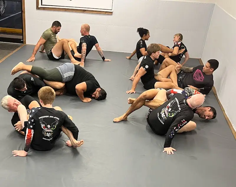 Freedom Jiu Jitsu Collective BJJ Academy - photo 1