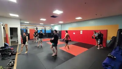 FreeFall MMA