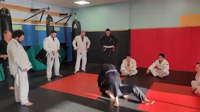 FreeFall MMA BJJ Academy - photo 3