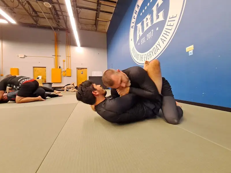 Fundamental Jiujitsu LLC BJJ Academy - photo 1