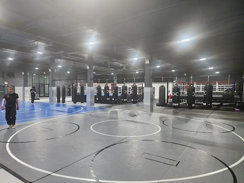 Fury Combat Systems BJJ Academy - photo 1