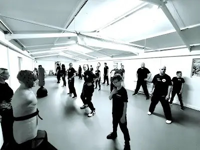 Fusion Kung Fu