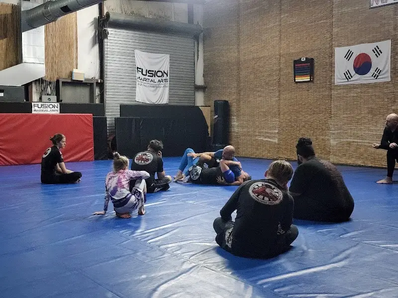 Fusion Martial Arts School BJJ Academy - photo 2