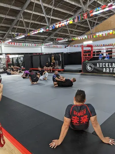 Future Jiu Jitsu Dojo BJJ Academy - photo 1