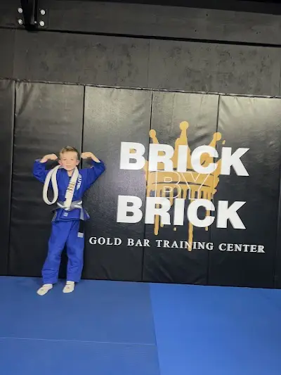 G-Town Brazilian Jiu-Jitsu LLC BJJ Academy - photo 4