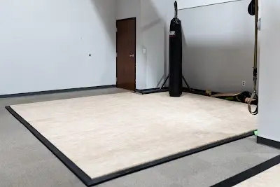 Gael Force Jiu Jitsu BJJ Academy - photo 3