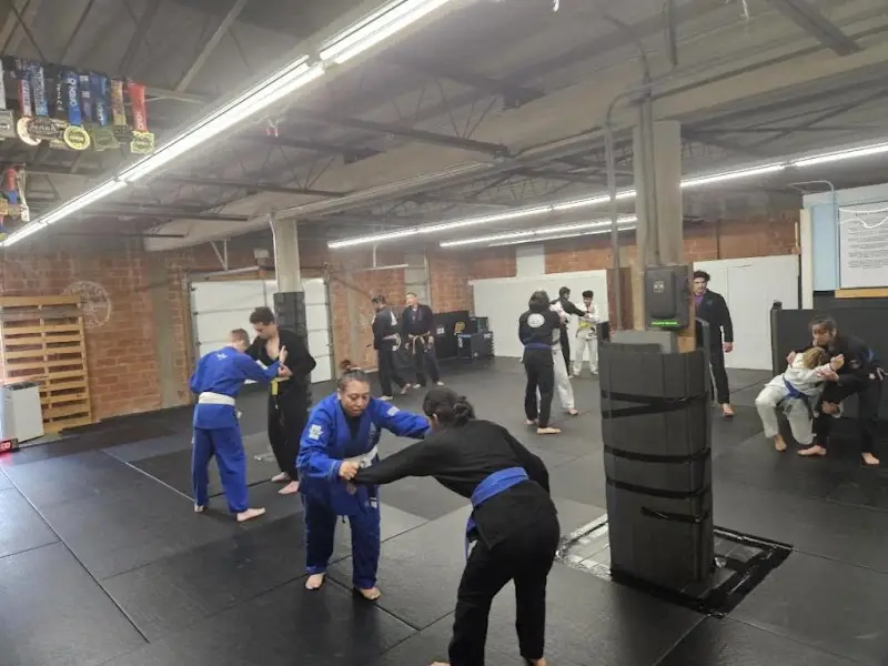 Garden Warrior Jiu-Jitsu and Combat Sports Academy BJJ Academy - photo 1