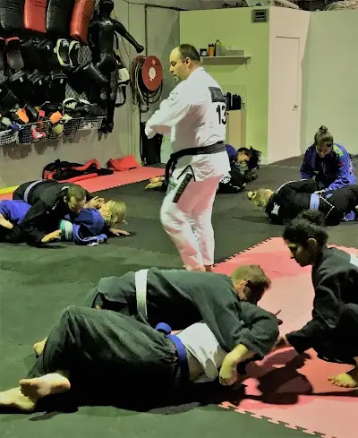 Gemina Sports Martial Arts (BJJ) BJJ Academy - photo 1