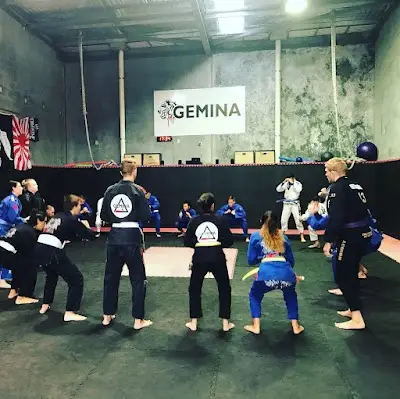 Gemina Sports Martial Arts (BJJ) BJJ Academy - photo 2
