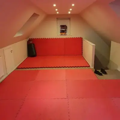 Gemini Grappling Systems BJJ Academy - photo 2