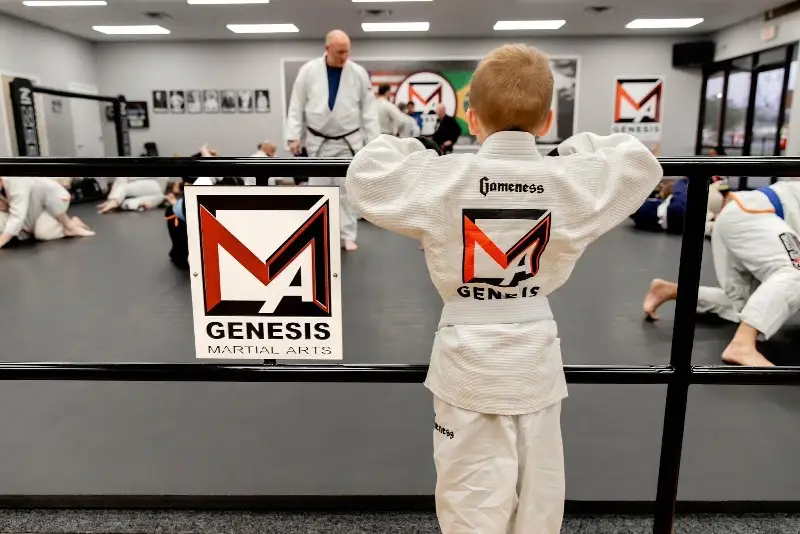 Genesis Martial Arts, L.L.C.