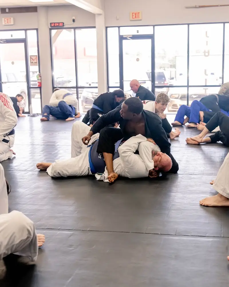 Genesis Martial Arts/BJJ Revolution Alexandria BJJ Academy - photo 2
