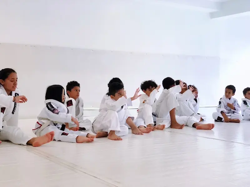 Gentle Art Studio - Lotus Club Brazilian Jiu Jitsu, Astoria BJJ BJJ Academy - photo 1