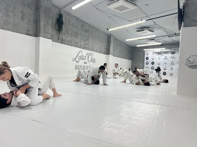 Gentle Art Studio - Lotus Club Brazilian Jiu Jitsu, Astoria BJJ BJJ Academy - photo 2