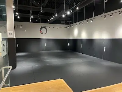 Gentle Arts Dojo BJJ Academy - photo 1