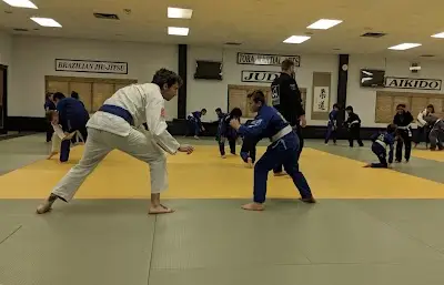 Georgetown Brazilian Jiu Jitsu Academy BJJ Academy - photo 2