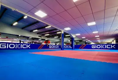 Giokick Martial Arts