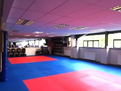 Giokick Martial Arts BJJ Academy - photo 2