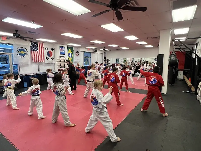 Global Martial Arts Center USA BJJ Academy - photo 1